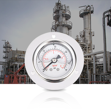 Petrochemische Industrie Pressure Gauges