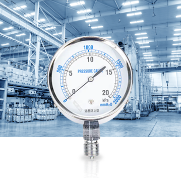 Industrieproduktionsindustrie Pressure Gauges